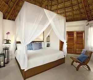 Las Palapas **** Riviera Maya